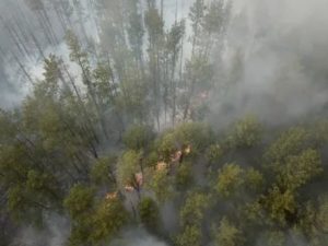 Чернобыльская зона регионы россии 2020