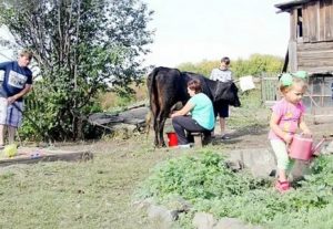 Белгородская Область Как Получить Деньги Многодетной Семье На Ведение Личного Подсобного Хозяйства