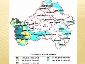 Брянская Область Какая Зона Отчуждения