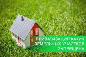 Сколько Стоит Приватизация Земли Под Частным Домом В Беларуси