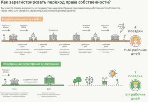 Продажа Квартиры В 2020 Году Через Мфц Передача Денег Через Банк