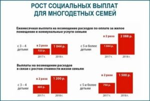 Размер субсидии для выплаты многодетным семьям в 2020 году в кировской области