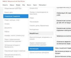 Список документов для оформления статуса малоимущей семьи в москве
