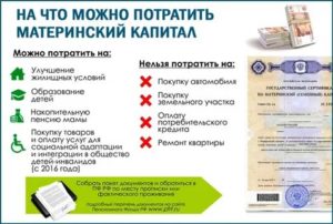 На что можно потратить губернаторские 50 тысяч в ульяновске в 2020