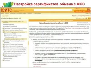 Список Документов В Фсс На Возврат В 2020 Году