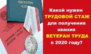 На каких условиях можно получить ветерана труда в 2020 г в вологодской области