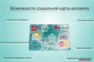 Льготы По Социальной Карте В Московской Области 2020