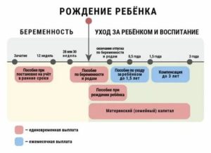 На какие выплаты рассчитывать при уходе в декрет матери одиночке в москве 2020