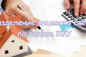 Разделить Счета В 2020 Году