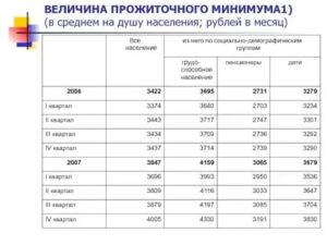 Минимальный Доход На Человека 2020