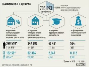 Статистика распоряжения материнским капиталом