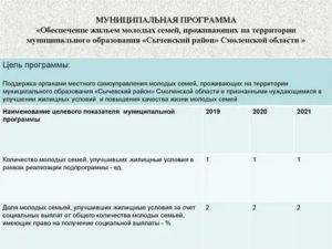 Социальные программы в россии 2020 список для молодых семей