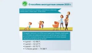 Льготы И Выплаты Многодетным Семьям В 2020 Году В Москве