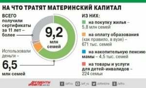 Статистика распоряжения материнским капиталом