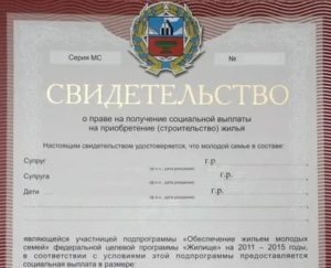 В Течении Какого Срока Дают Сертификат Помощь Молодой Семье