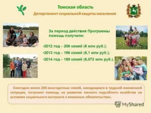 Белгородская Область Как Получить Деньги Многодетной Семье На Ведение Личного Подсобного Хозяйства