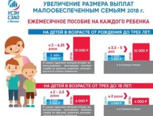 На какие льготы имеет право малоимущая семья в новосибирске 2020