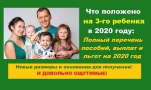 Что Полагается Семье При Рождении Третьего Ребенка В 2020 Году Москва