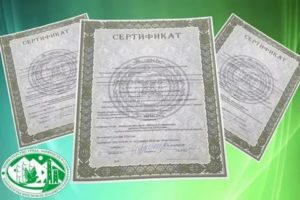 Сертификаты на жилье участникам боевых действий в чечне