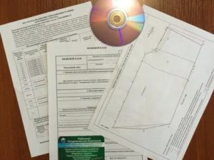Что Входит В Межевое Дело Земельного Участка