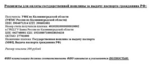 Размер Госпошлины За Восстановление Паспорта В России