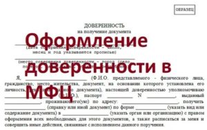 Доверенность На Получение Государственной Услуги