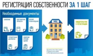 Срок Регистрации Права Собственности На Квартиру В Росреестре Через Мфц