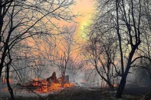 Чернобыльская зона регионы россии 2020