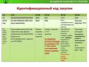 Что Такое Идентификационный Код Закупки По 223 Фз Пример