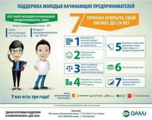 Программа Помощи Начинающим Предпринимателям