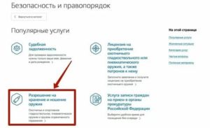 Продление Разрешения На Оружие Через Госуслуги Пошагово