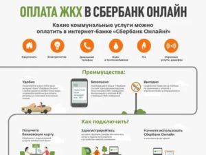 Отключили электроэнергию только за пени по кварплате