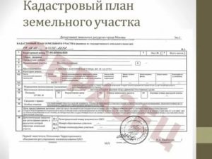 Можно ли купить гараж без межевания