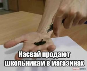 В Школе Продают Насвай
