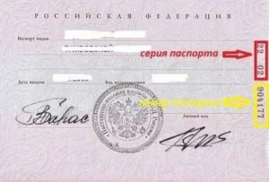 Пом расшифровка в паспорте