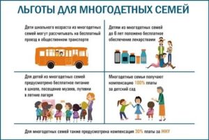 Многодетная семья какие льготы положены в московской области