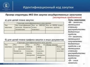 Что Такое Идентификационный Код Закупки По 223 Фз Пример