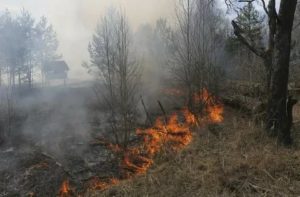 Чернобыльская зона регионы россии 2020