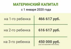 Материнский Капитал 2020 За 1 Ребенка