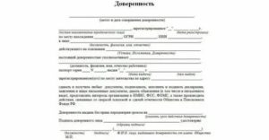 Доверенность На Получение Государственной Услуги