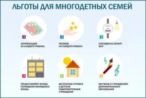 Многодетная семья льготы на получение квартиры в спб