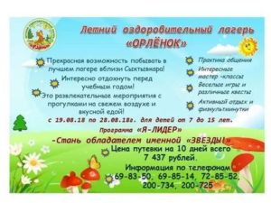 Орленок как получить бюджетную путевку