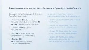 Программа Поддержки Малого Бизнеса В Оренбургской Области