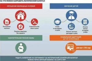 Можно ли купить дом в деревне на материнский капитал в 2020 году