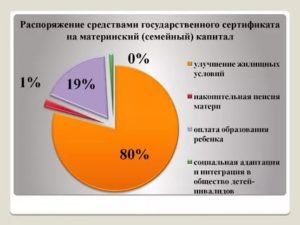 Статистика распоряжения материнским капиталом