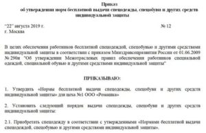 Приказ о выдаче сиз в образовательном учреждении