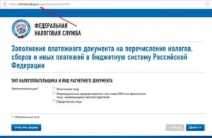 Оплатить страховые взносы ип онлайн на сайте налоговой
