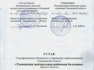 Смена Устава Снт Пошаговая Инструкция В2020г