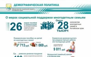 Меры Социальной Поддержки Многодетных Семей Ярославская Область В 2020