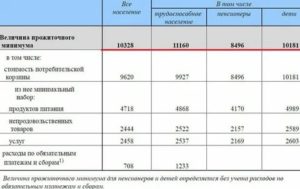 При расчете прожиточного минимума учитывается ипотека